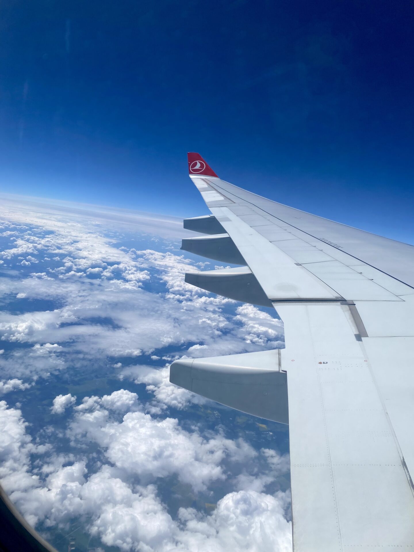 青空と雲海に伸びる飛行機の翼